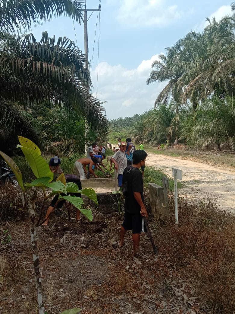 Kegiatan Royong RT 01 Dusun Beram Plasma IV.
Rabu, 25 Maret 2026
