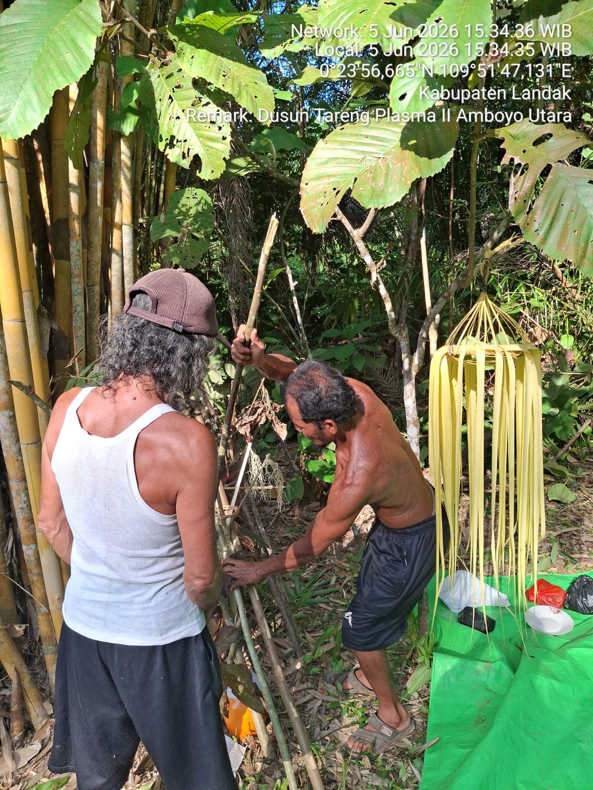 Posyandu Balita